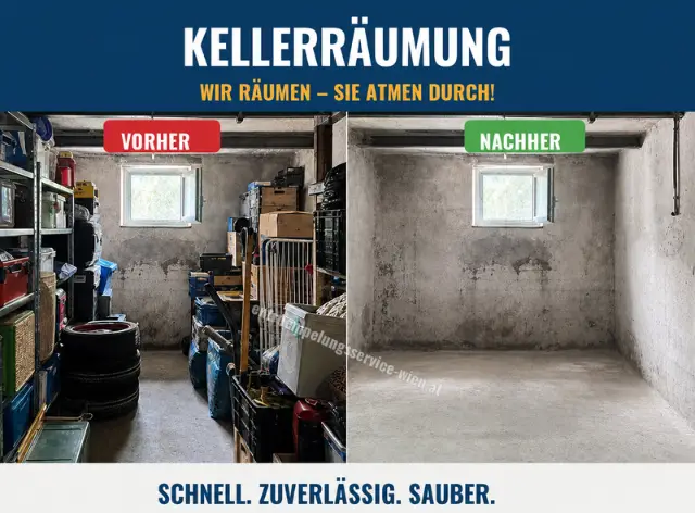 Kellerräumung Purkersdorf: geräumter Keller