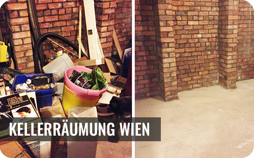 Kellerräumung Wien